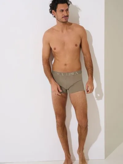 BOKSERKI LISCA ODYSSEUS 32039