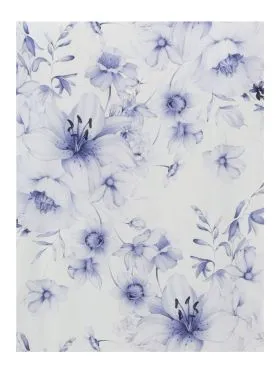 KOSZULKA RINGELLA 6511042